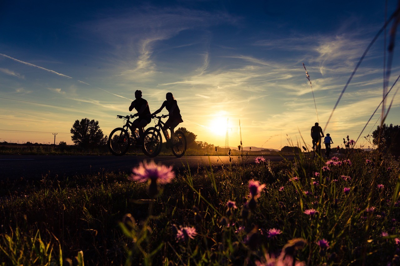 Fietsverhuur